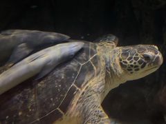 -南昌融创海世界