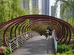 -南翔镇银翔湖公园