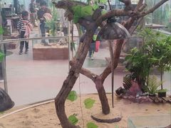 -南宫五洲植物乐园