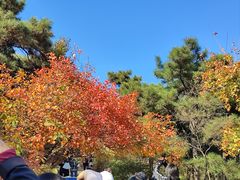 -香山公园