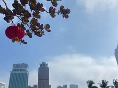 -万绿园