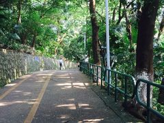 -中山公园(石岐街道)
