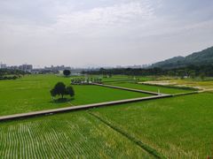 -艾米稻香小镇