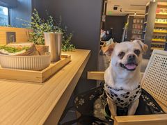 -魔方城市书房(中街益田店)