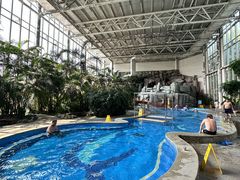 -中家鑫园温泉酒店鑫悦汤泉