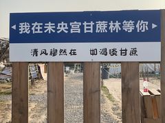 -汉长安城未央宫国家考古遗址公园