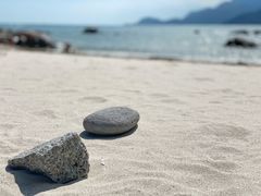 -花海间·即刻露营