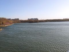 -大兴滨河森林公园