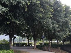 -风云岭森林公园