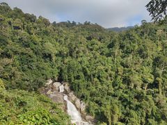 -海南热带雨林国家公园吊罗山景区