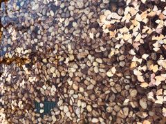 -杭州城北体育公园