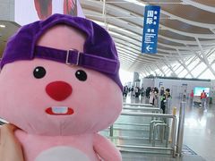 -上海浦东国际机场-T2航站楼
