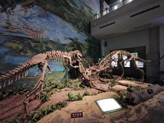 -自贡恐龙博物馆