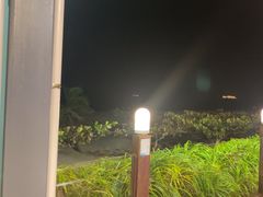 -渔家火锅·海鲜自助餐·演艺(亚龙湾天域酒店)