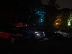 -枫花园汽车电影院(朝阳公园店)