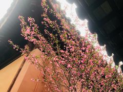 -苏州文庙(姑苏区)