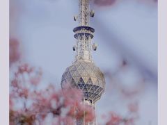 -文华公园(禅城区)