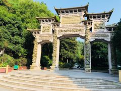 -云碧峰国家森林公园