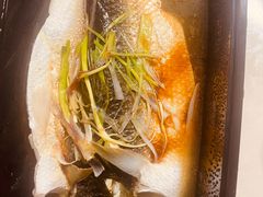 金牌鲥鱼-西湖春天•老字号杭州菜(百汇店)