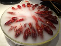 -红盔甲·小龙虾(天钥桥店)