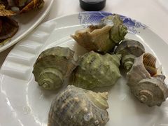 清蒸小海螺-北戴河庆山饭店·海鲜砂锅粥(北戴河黑石路店)