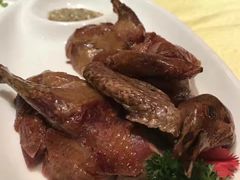 -鱼翅楼·津派砂锅鱼翅(水上公园店)
