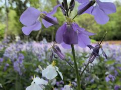 -郑州中国绿化博览园