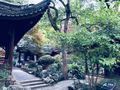 -上海醉白池公园