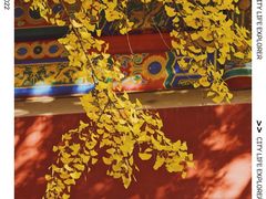 -故宫博物院(故宫)