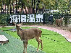 -海德温泉生活馆(朝阳大悦城店)