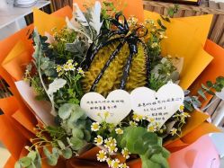 -围美辣妈·减肥塑形连锁