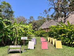 -大象粑粑造纸公园