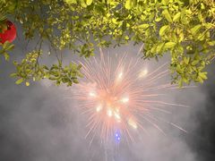 -阿拉斯加·海货(马王堆店)