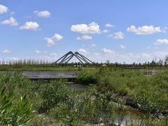 -春花秋色城市公园