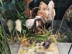 -天津意大利风情旅游区