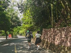 -凤栖山