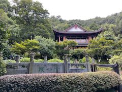 -十八棵（老龙井）御茶园(老龙井店)