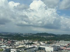 -深圳市海吉星国际农产品物流管理有限公司