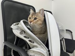 -萌兽医馆·绝育·24小时内科·宠物医院(德胜店)