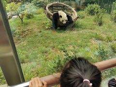 -大连森林动物园