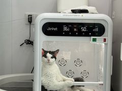 -爱洗澡的猫(望京店)