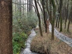 -同里国家湿地公园