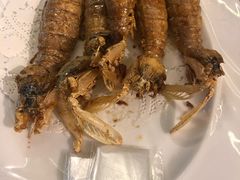 -欢乐海岸美食联盟