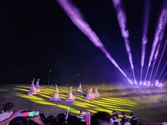 -荷兰花海