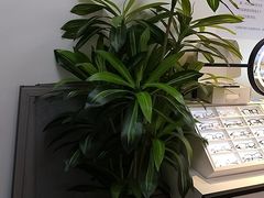 -天空之镜眼镜店蔡司依视路配镜授权零售店(望京颐堤港店)