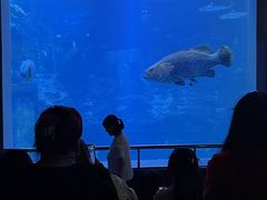 -太平洋海底世界