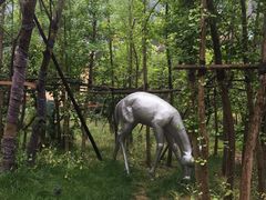 -杭州开元森泊度假乐园