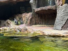 -长鹿旅游休博园