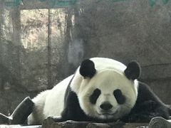 -宁波野生动物园