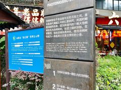 -泡桐树街